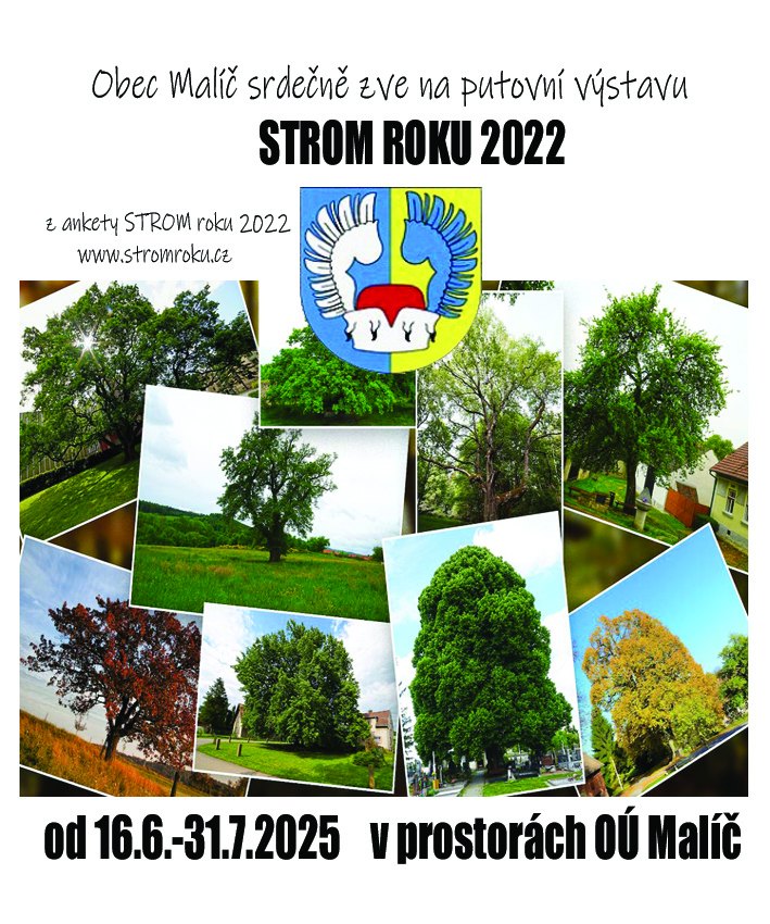 Náhledový obrázek článku: Výstava Strom roku 2022