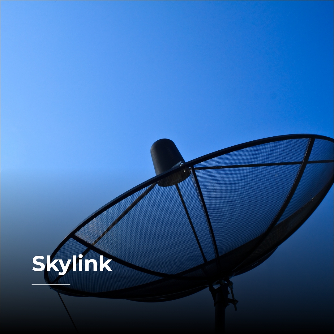 Skylink