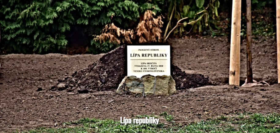 Lípa republiky