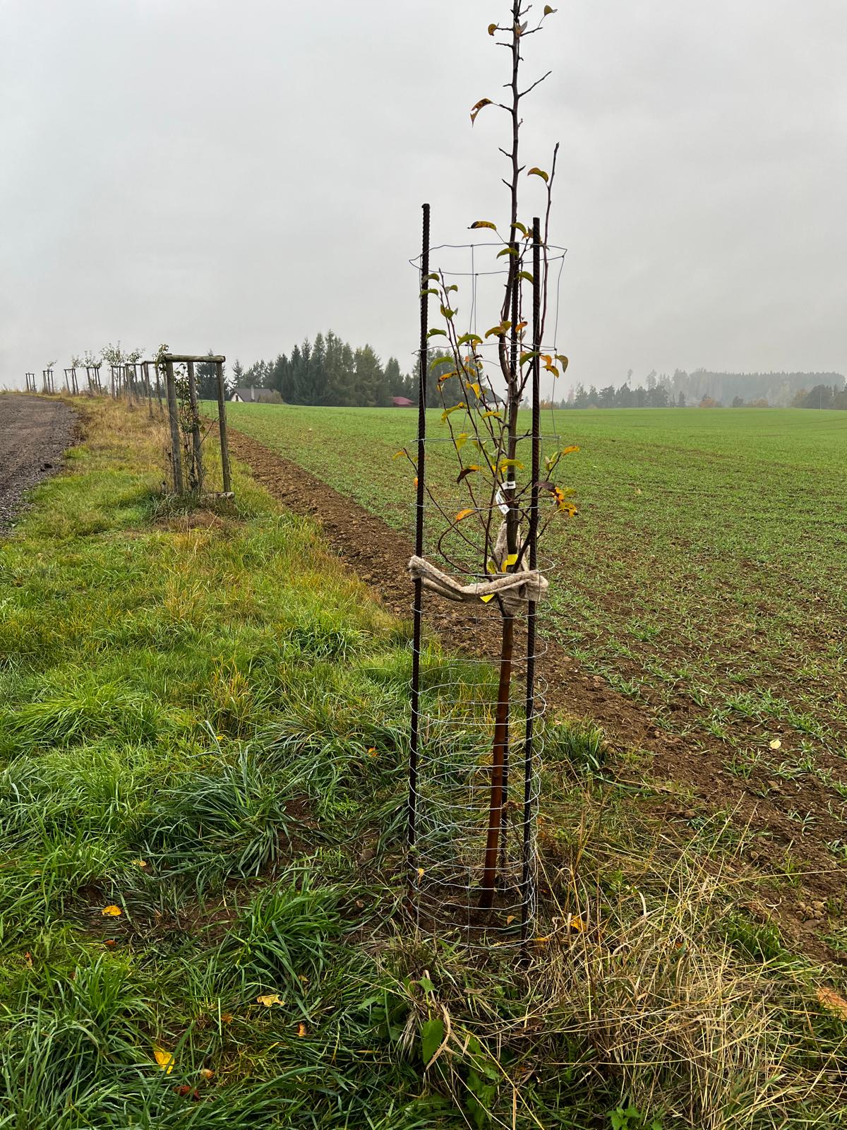 Obrázek 3