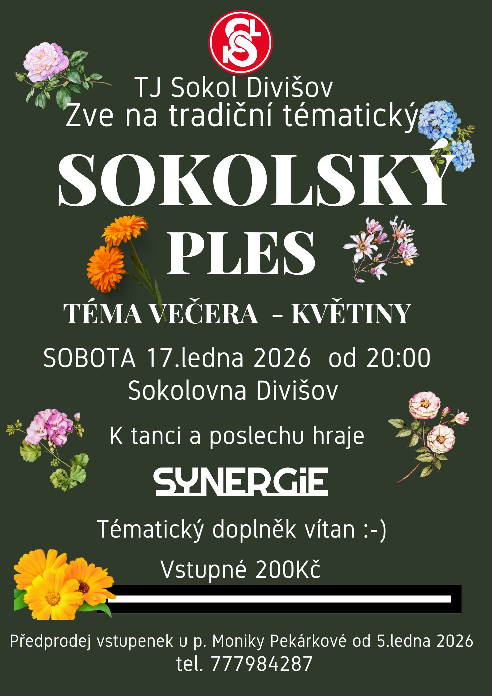 Náhledový obrázek článku: Sokolský ples