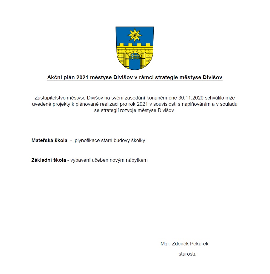 Akční plán 2021