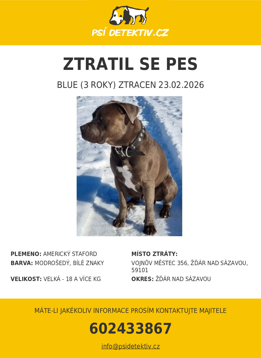 Náhledový obrázek článku: Hledá se