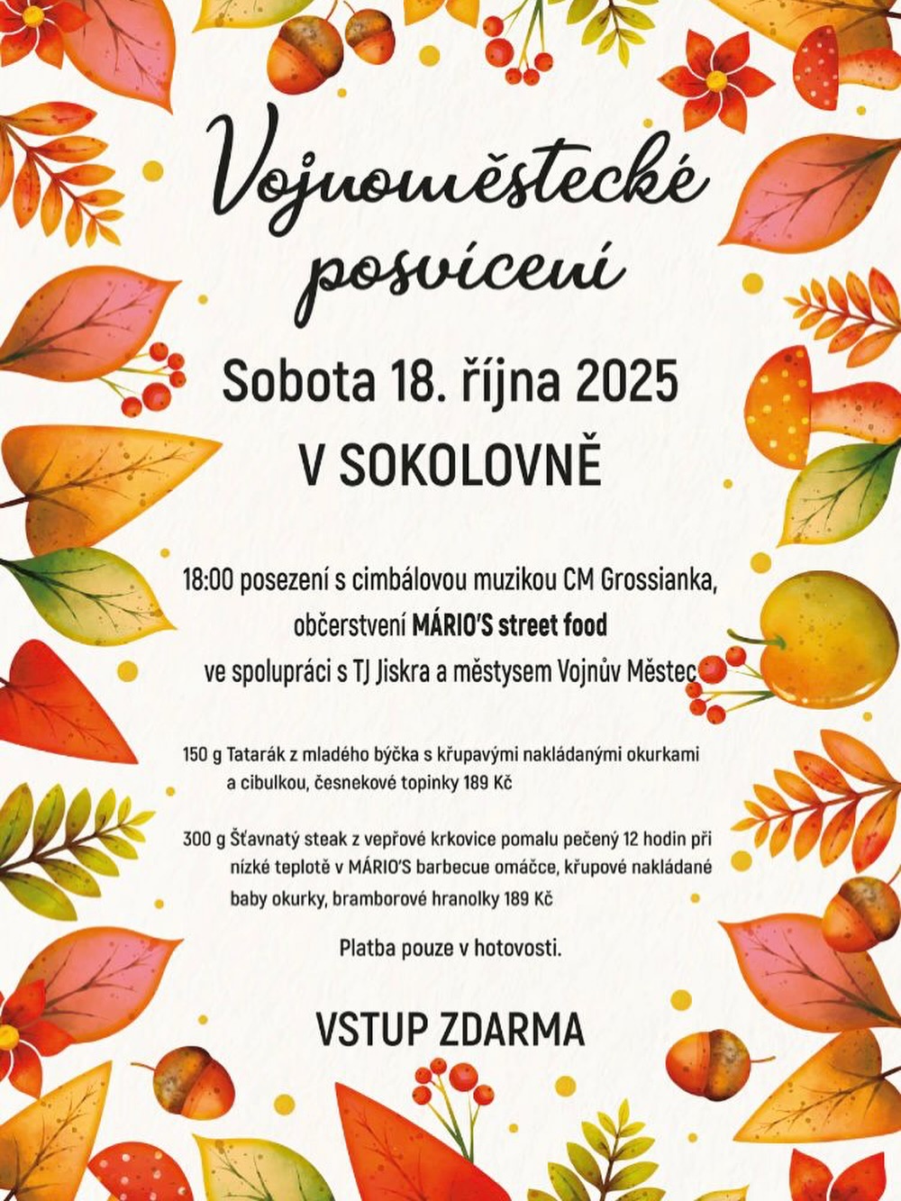 Vojnoměstecké posvícení