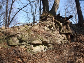 Obrázek mřížkové galerie #2