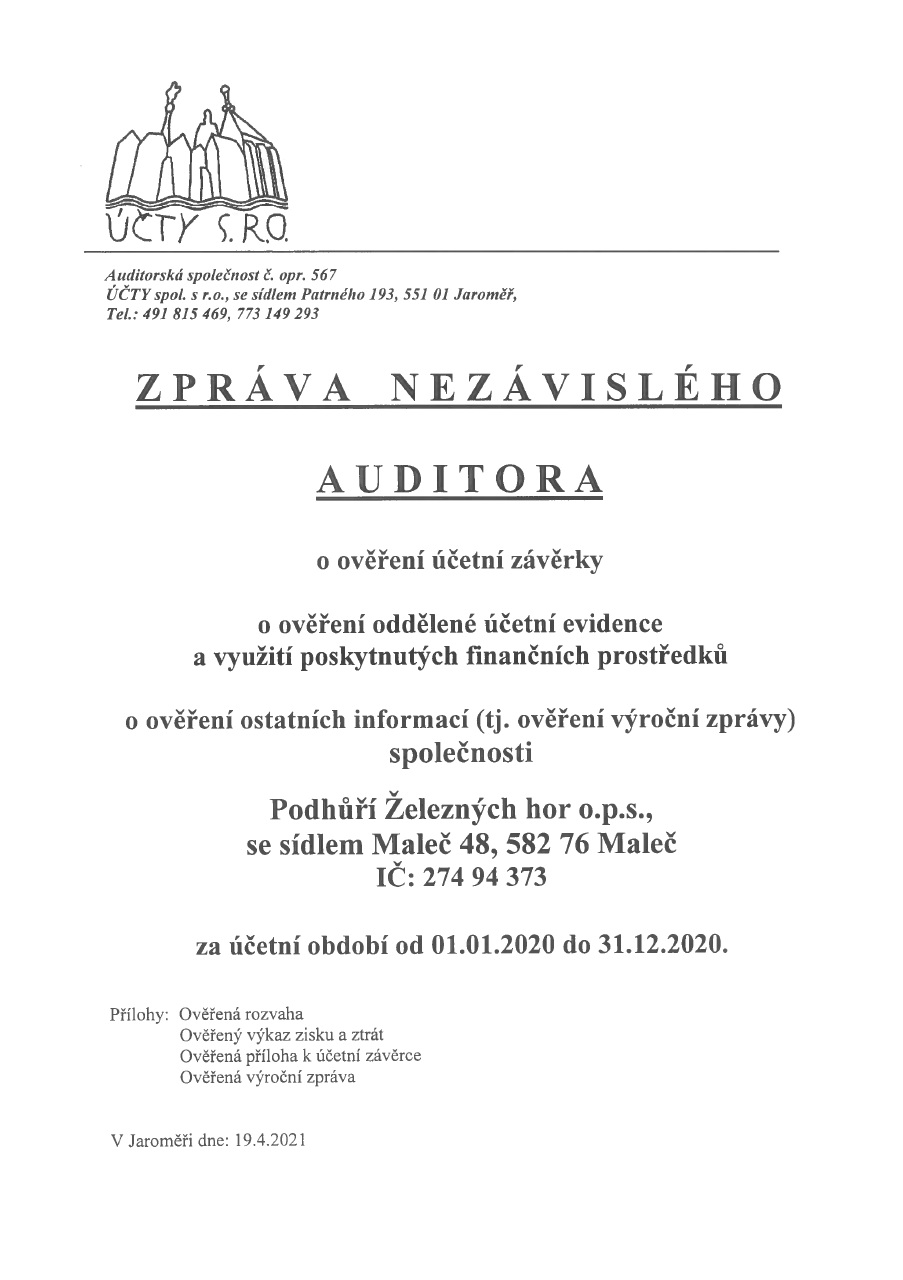 Zpráva nezávislého auditora 2020