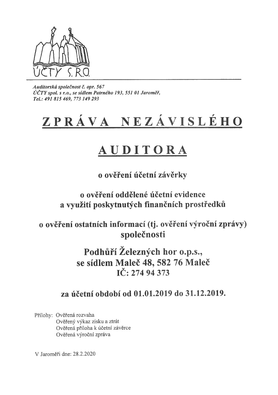 Zpráva nezávislého auditora 2019