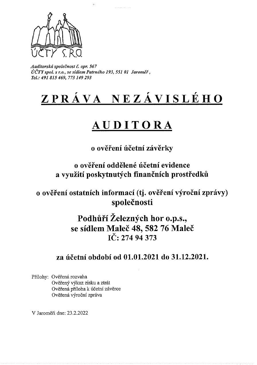 Zpráva nezávislého auditora 2021