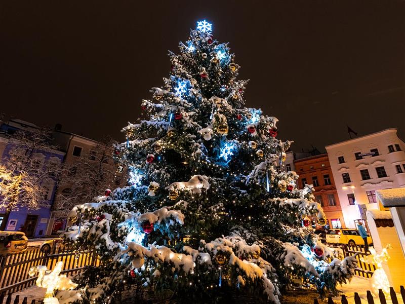 Rozsvícení stromku v Pohořelicích