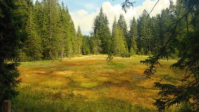 Obrázek místa %name%