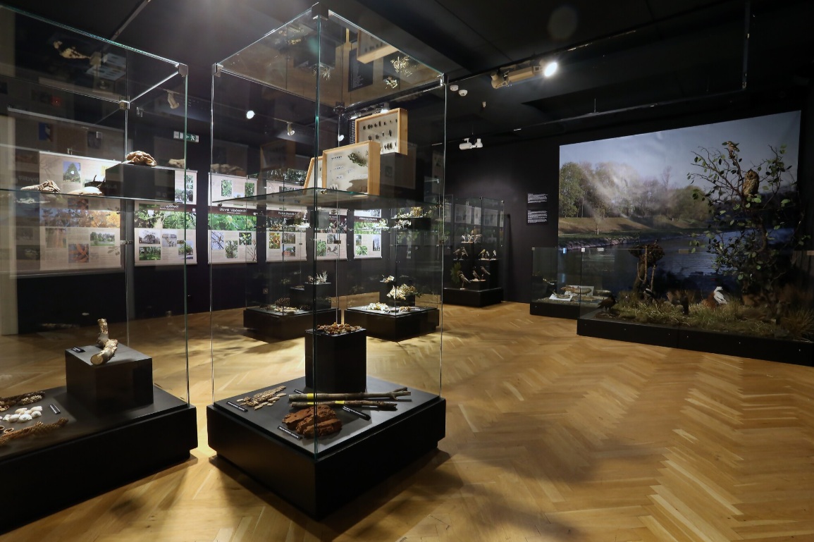 Obrázek místa %name%