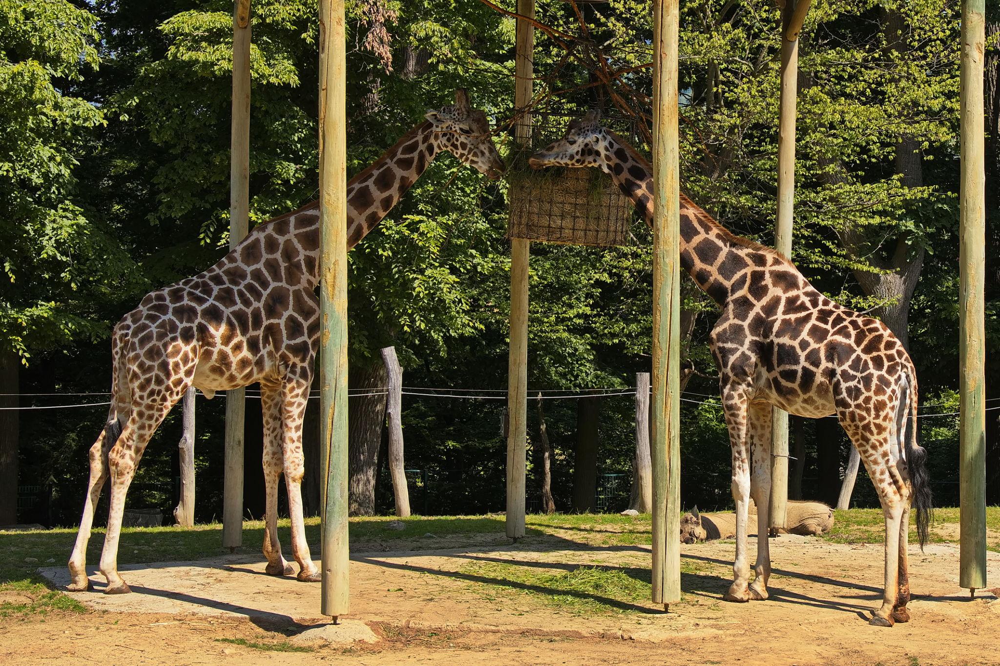 Obrázek místa %name%