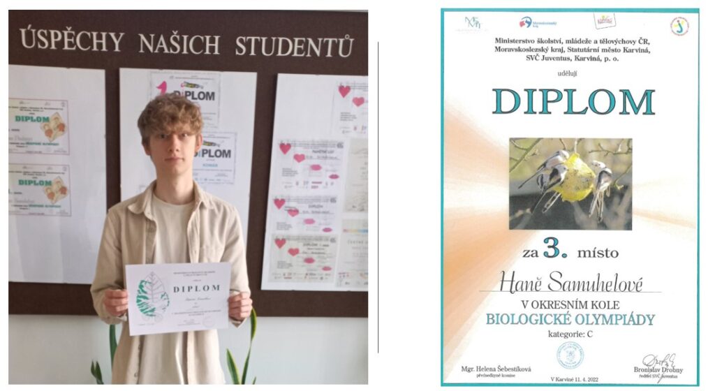 Obrázek související s obsahem