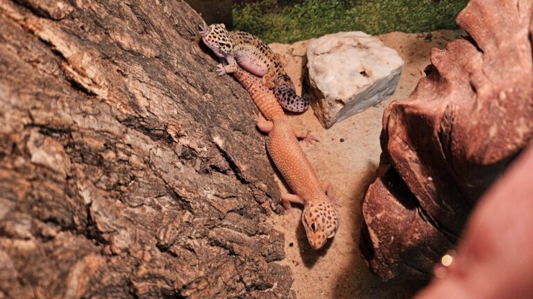 Obrázek související s obsahem