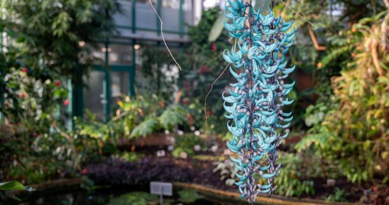 Obrázek místa %name%