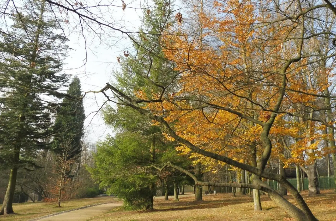 Obrázek místa %name%