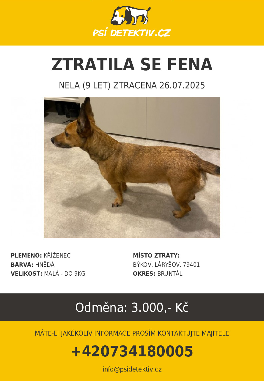 Náhledový obrázek článku: Hledá se fena jménem Nela
