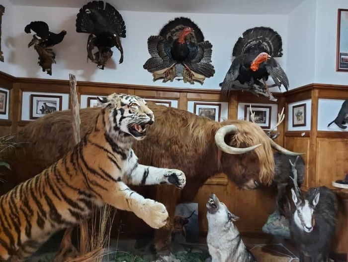 Obrázek místa %name%