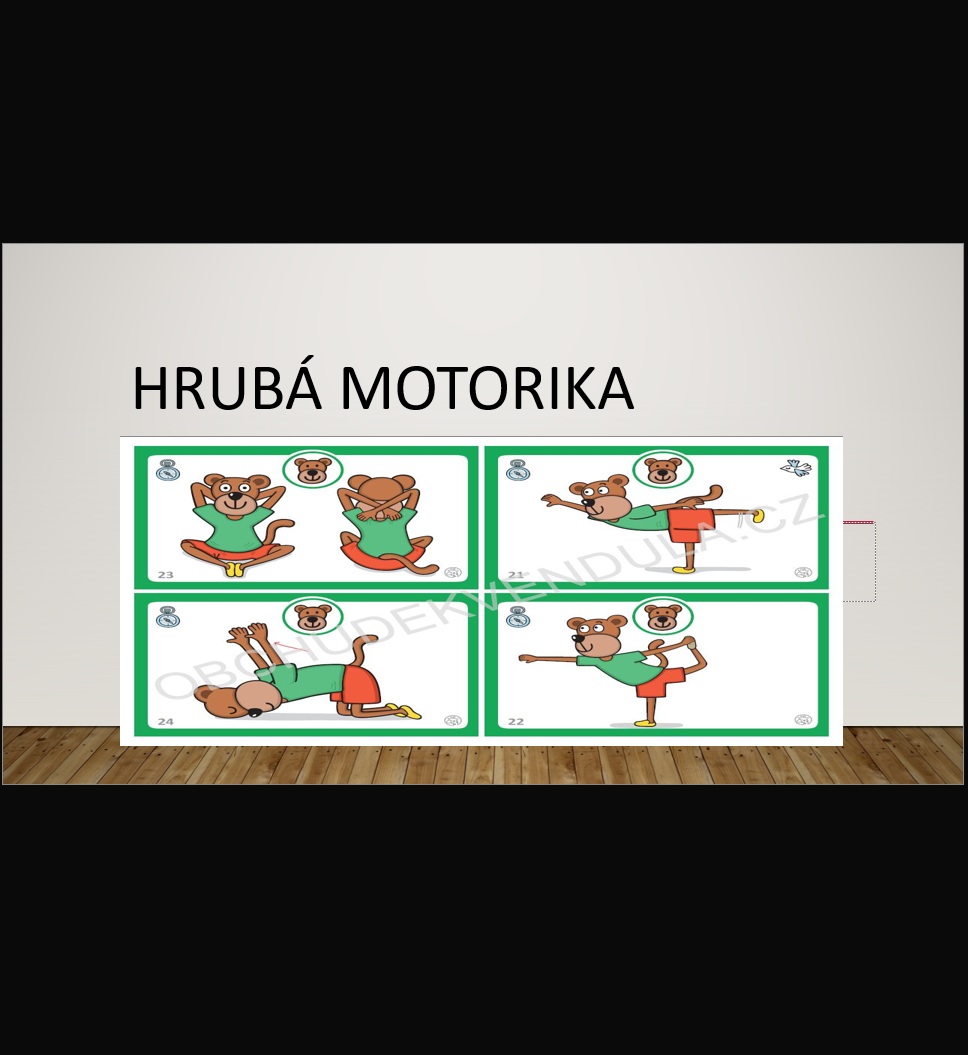 Hrubá motorika